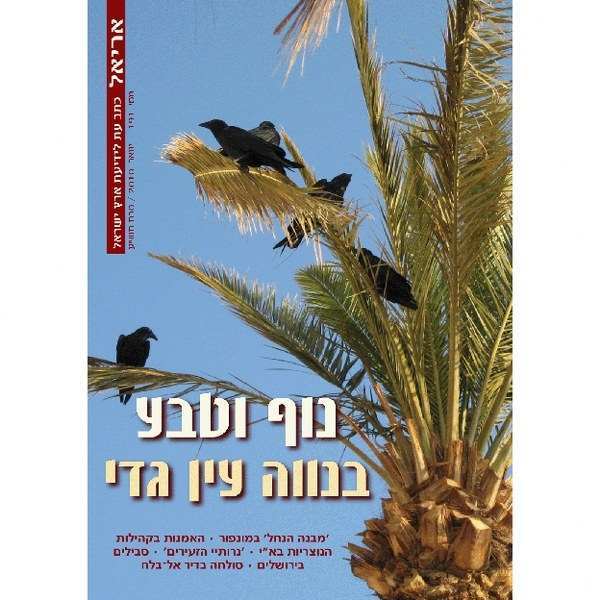 נוף וטבע בנווה עין גדי - אריאל 191