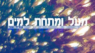 מעל ומתחת למים