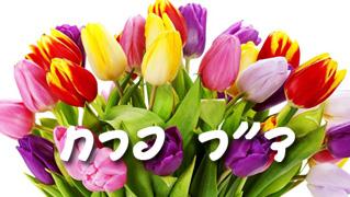 ד''ר פרח - חנות וירטואלית