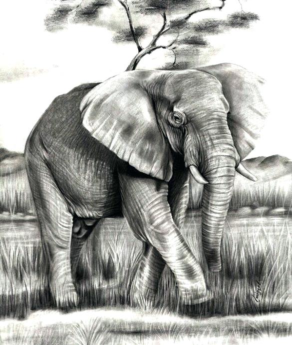 מצלמה נסתרת בתוך תמונה לתליה