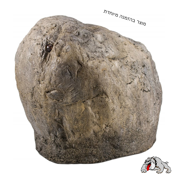 מצלמה בצורת סלע