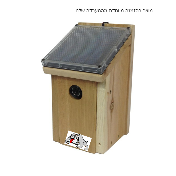 מצלמה בצורת קן לציפור