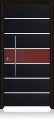 דלת הייטק דגם 1001