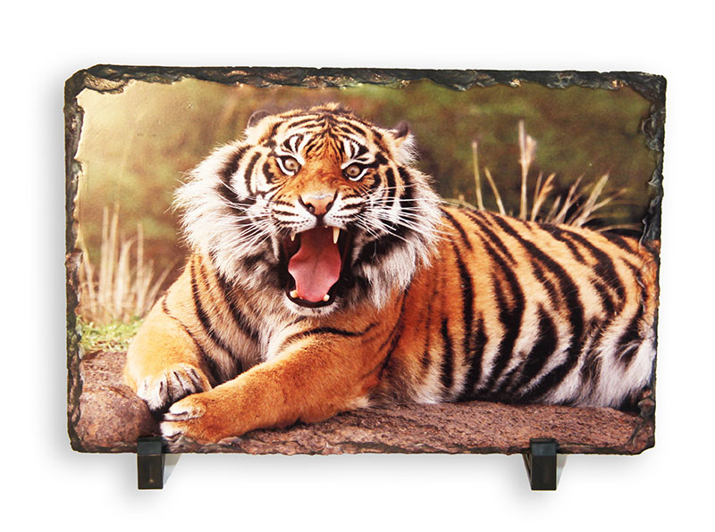 אבן בזלת cm 20X30