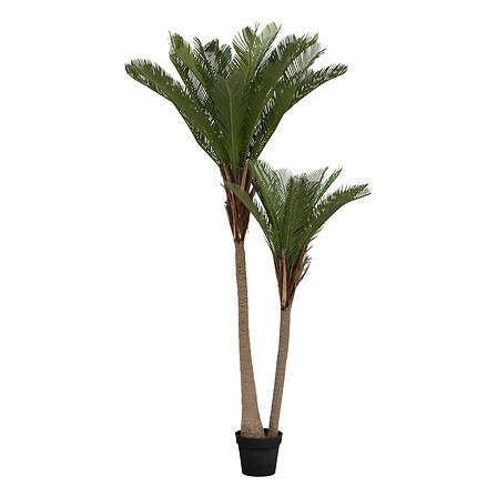  עץ דקל מלאכותי 180סמ