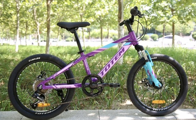 אופני הרים לילדים ונוער 20 Totem Sunshine