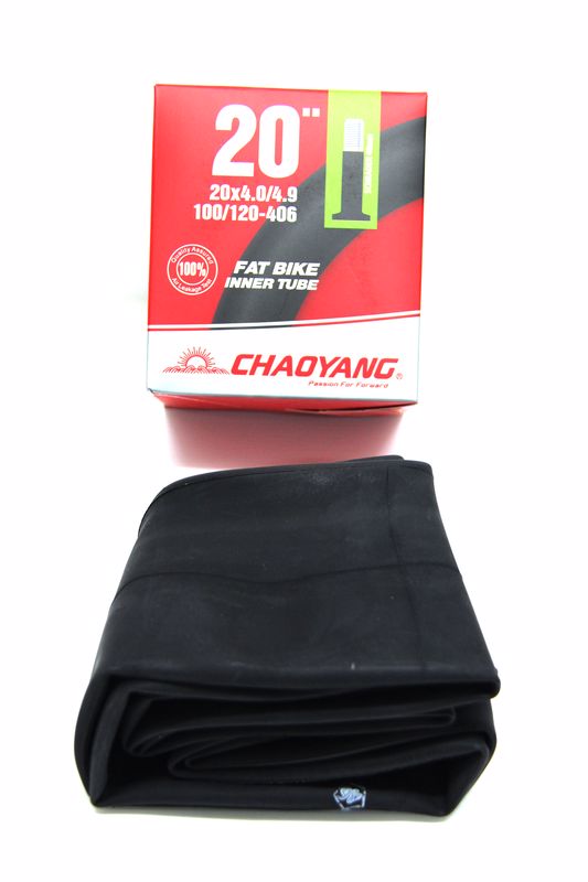 פנימית  4.9 /20X4.0 ונטיל אוטו 48 מ