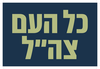 דגל לוגו 