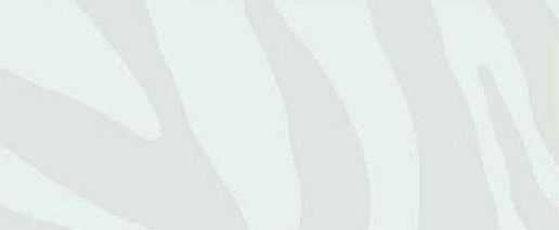 טפט להדבקה עצמית - זברה לבנה