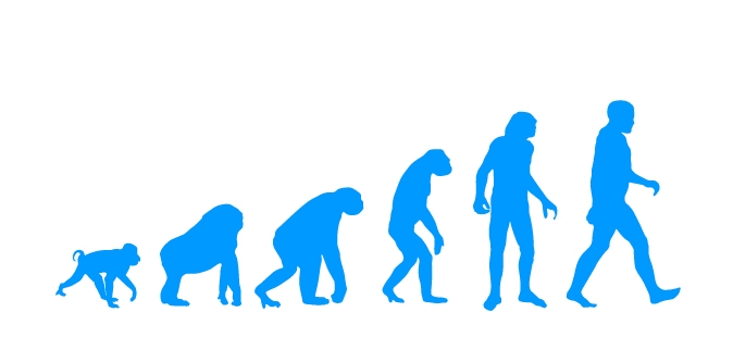 מדבקת קיר evolution