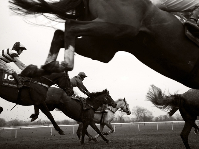 תמונת טפט מירוץ סוסים - Horse Racing Black & White 