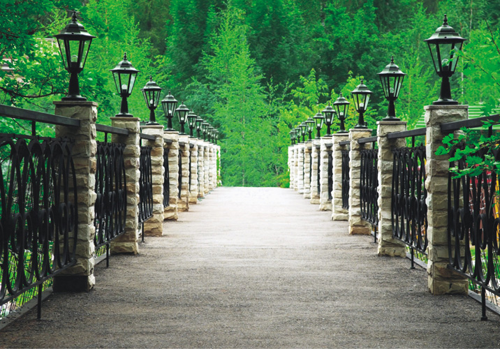 תמונת טפט לקיר 