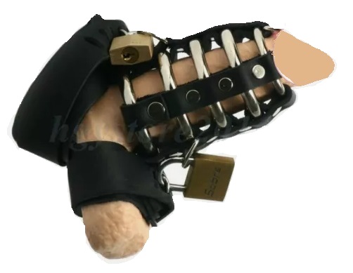 כלוב לפין מטבעות ברזל ורצועות עור לקשירה