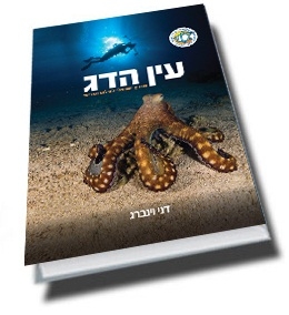 עין הדג - מדריך ישראלי לצילום תת-ימי
