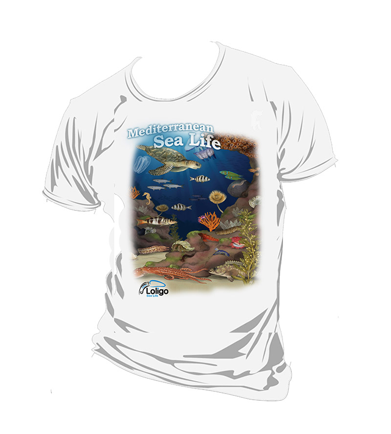 חולצת לוליגו - הים התיכון