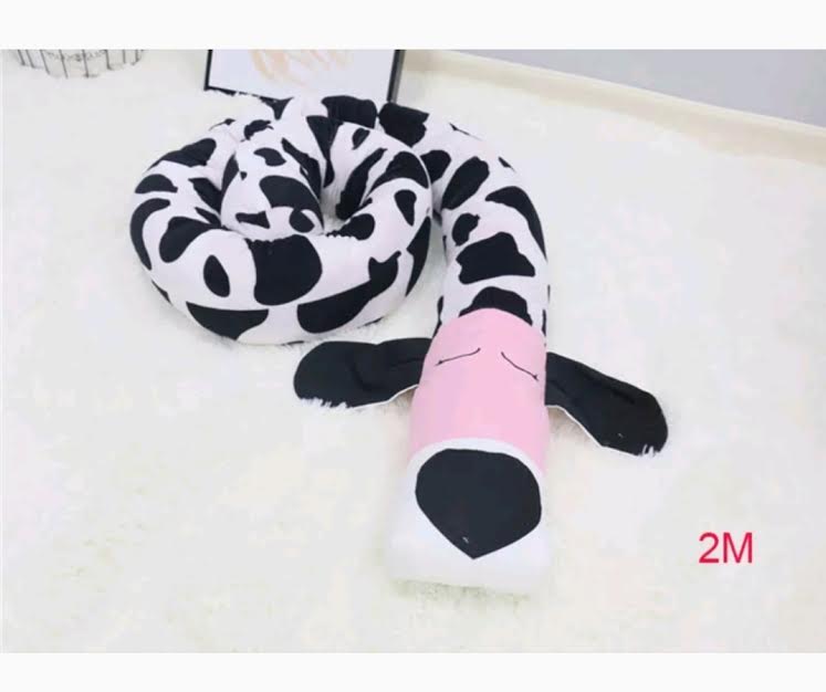 כרית נחשוש לתינוק דגם זברה