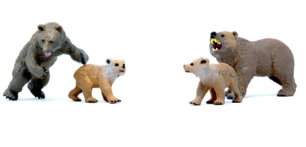 משפחת הדובים