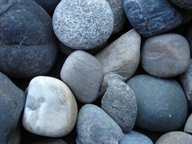 אבנים בכליות