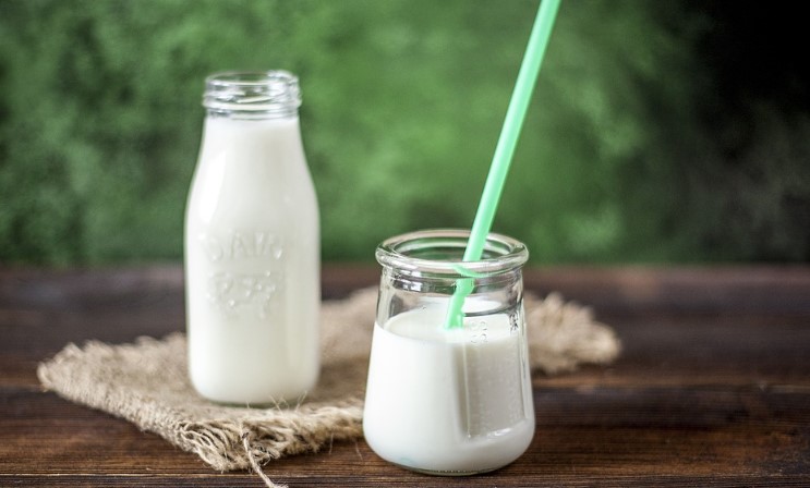 חלבון ממוצרי חלב