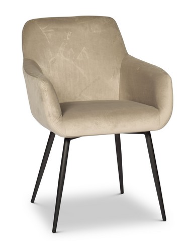 כסא אירוח והמתנה דגם אריה