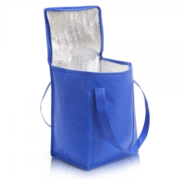 צידנית משפחתית היכולה לשמש גם כתיק קניות דגם ברד