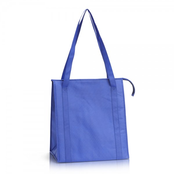 צידנית משפחתית היכולה לשמש גם כתיק קניות דגם אנטרטיקה